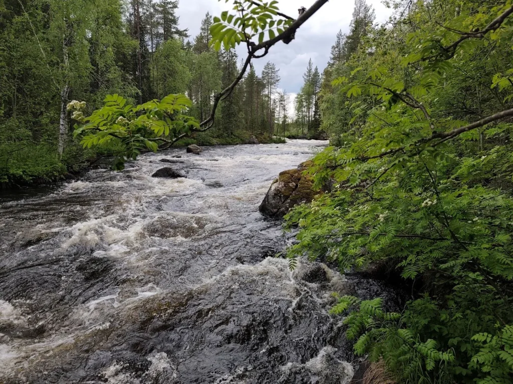 porog pista soleniy